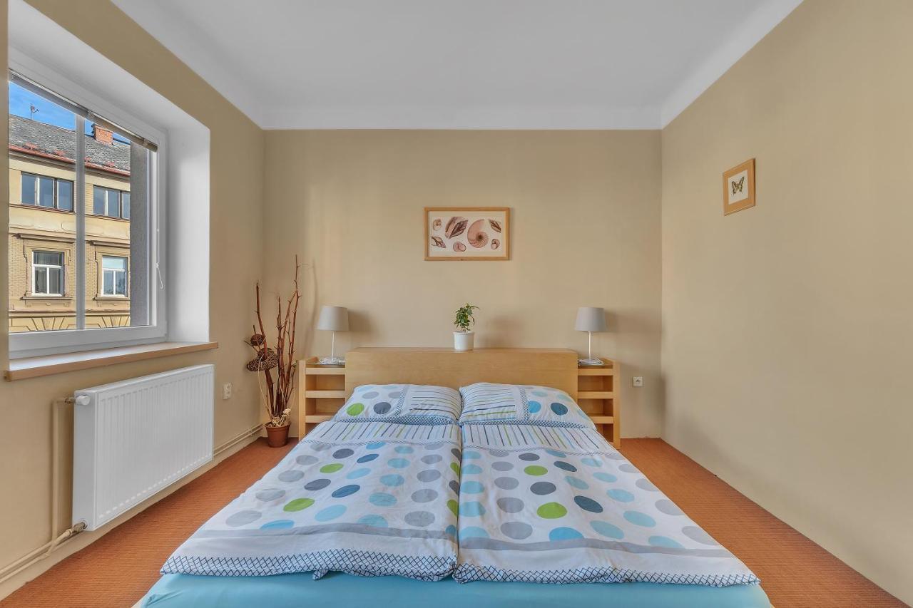 Apartman U Javorky Lázně Bělohrad 외부 사진
